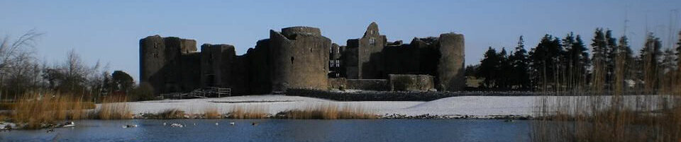 Roscommon Castle, Ireland. Competition winning mage.