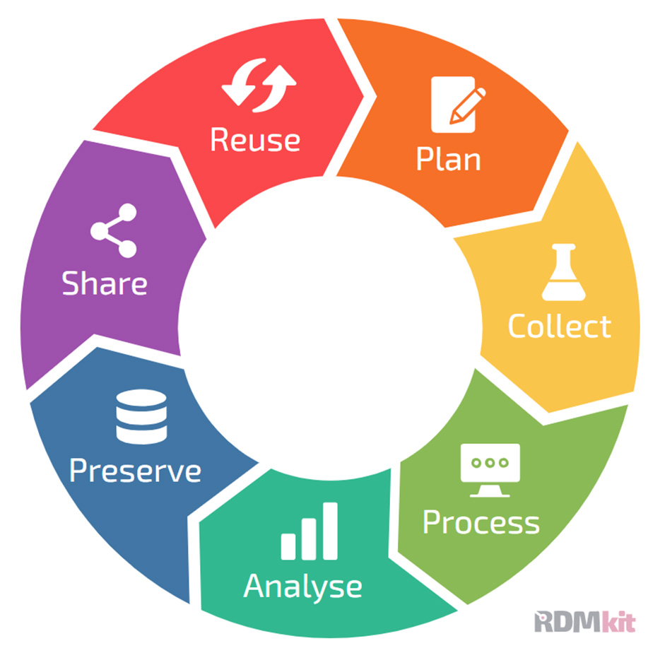 A schematic drawing of the data management life cycle