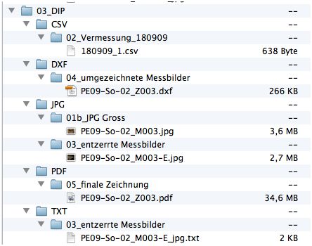 screenshot of possible structure of DIP