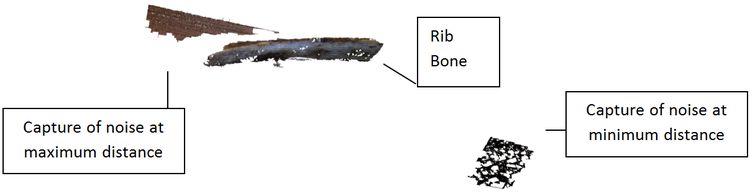 screenshot with capture of rib in the centre of the image, with noise in the foreground on the right, and background on the left