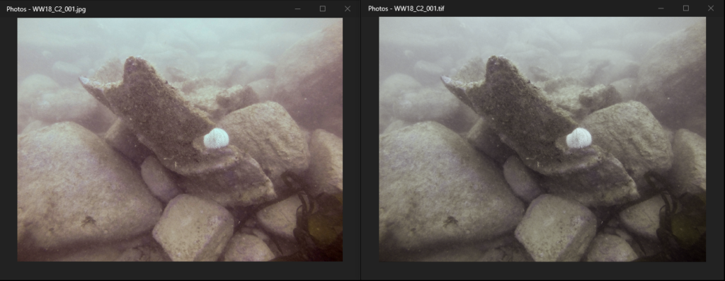 Comparison of an image as a jpg and as a tif