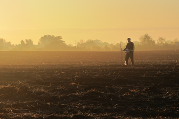 Image of geophysical survey at Torksey, Lincolnshire
